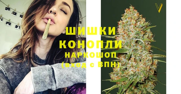 индика Баксан