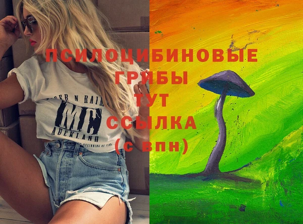 индика Баксан