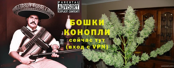 дмт Белокуриха